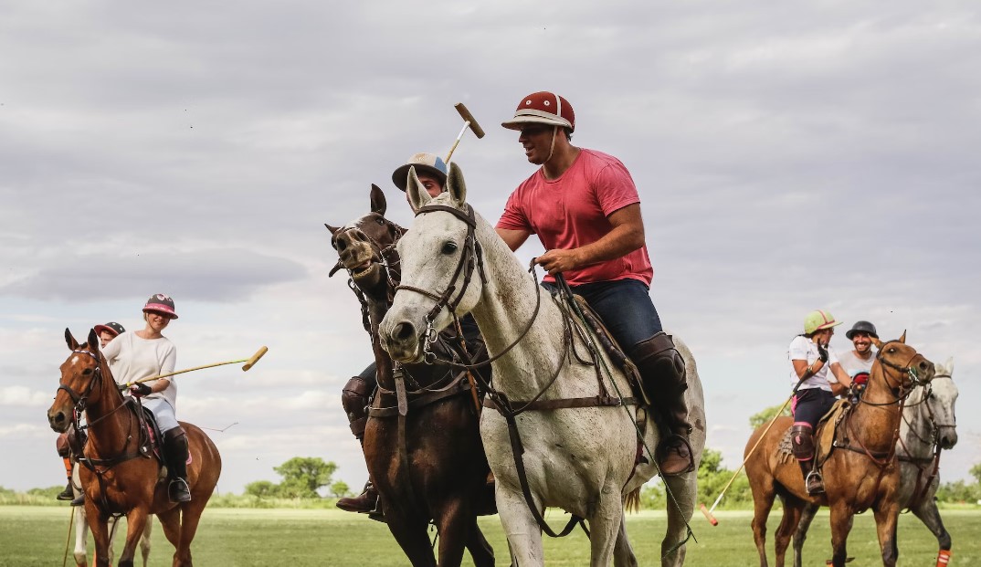 The Evolution of Polo: From Ancient Origins to Modern Sport