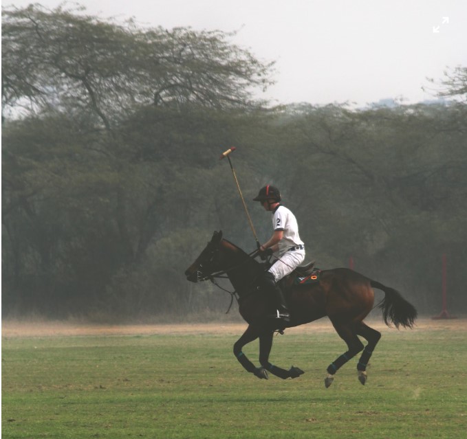 polo player riding a horse